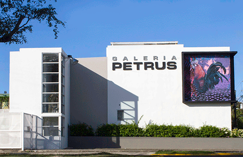 Galería Petrus