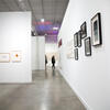Exposición Colección INELCOM Arte Contemporáneo: diálogo naturaleza, energía y comunicación.