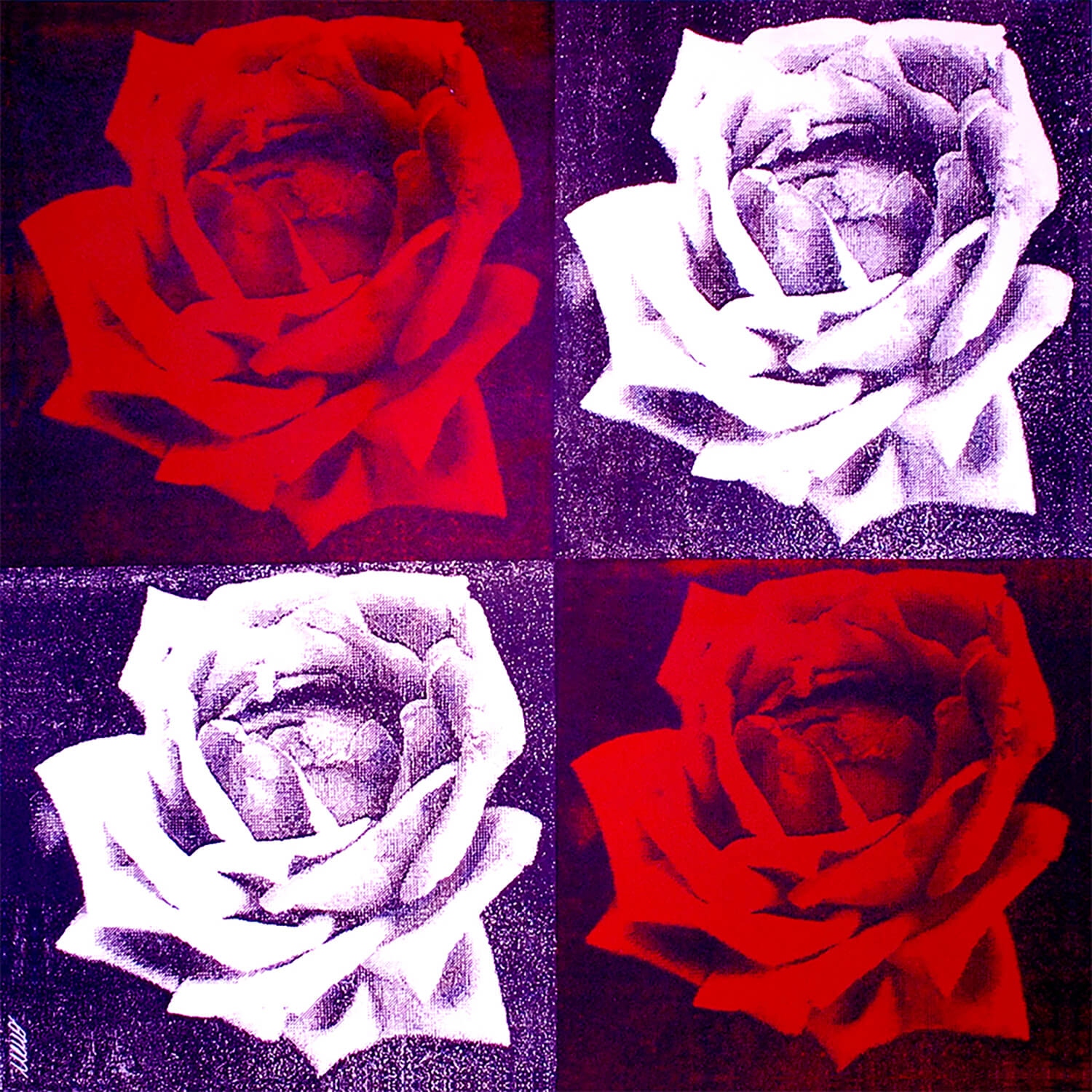 Four Roses (Purple)